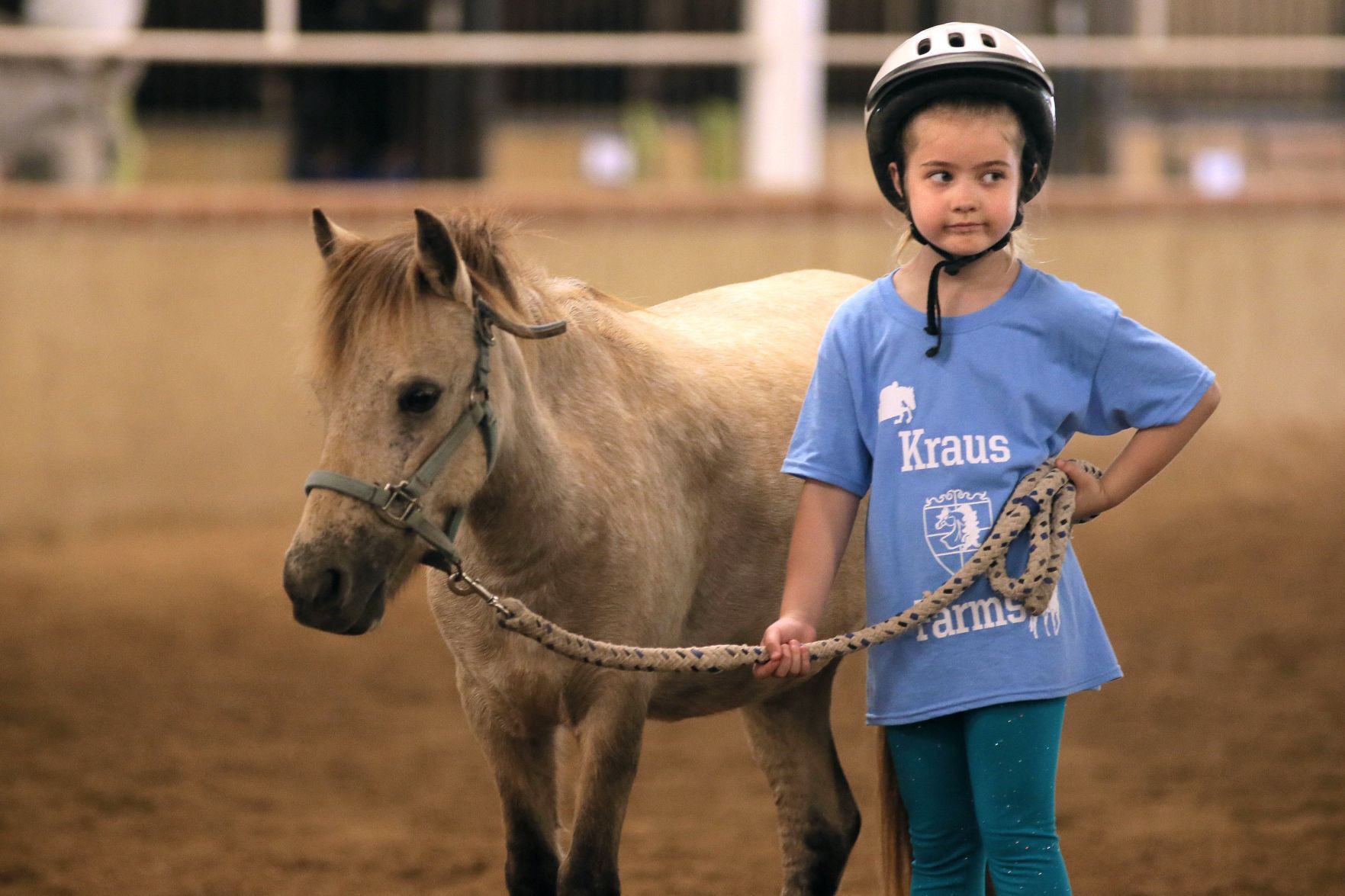 Equestrian summer camp